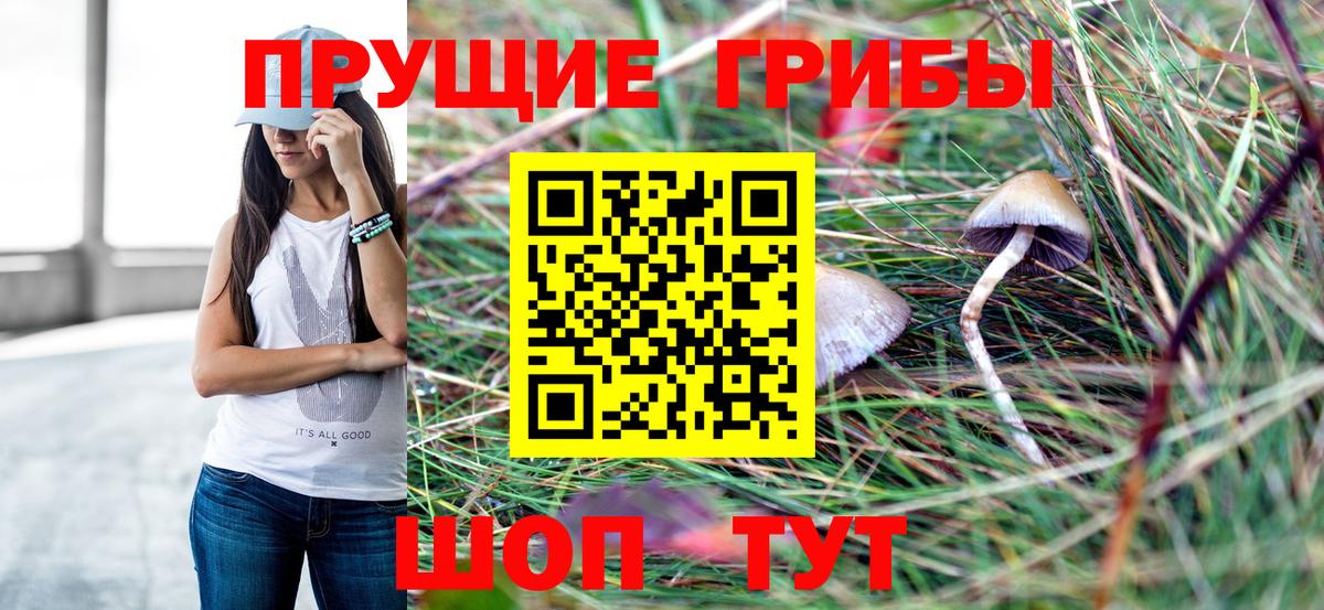 Лангепас  Псилоцибиновые грибы мухоморы  Вход с VPN 